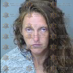 Destiny Mcdanel arrest record in Maricopa County, Arizona Destiny Mcdanel arrested in Maricopa County, Arizona mugshot