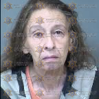 Sandra Fields arrest record in Maricopa County, Arizona Sandra Fields arrested in Maricopa County, Arizona mugshot
