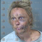 Jennifer Wheeler arrest record in Maricopa County, Arizona Jennifer Wheeler arrested in Maricopa County, Arizona mugshot