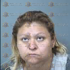 Michelle Holling arrest record in Maricopa County, Arizona Michelle Holling arrested in Maricopa County, Arizona mugshot