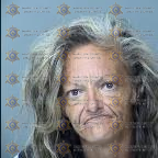 Alicia Villalobos arrest record in Maricopa County, Arizona Alicia Villalobos arrested in Maricopa County, Arizona mugshot